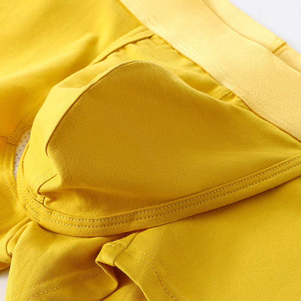 Men’s Cotton Support Separated Trunk – 3 Pack