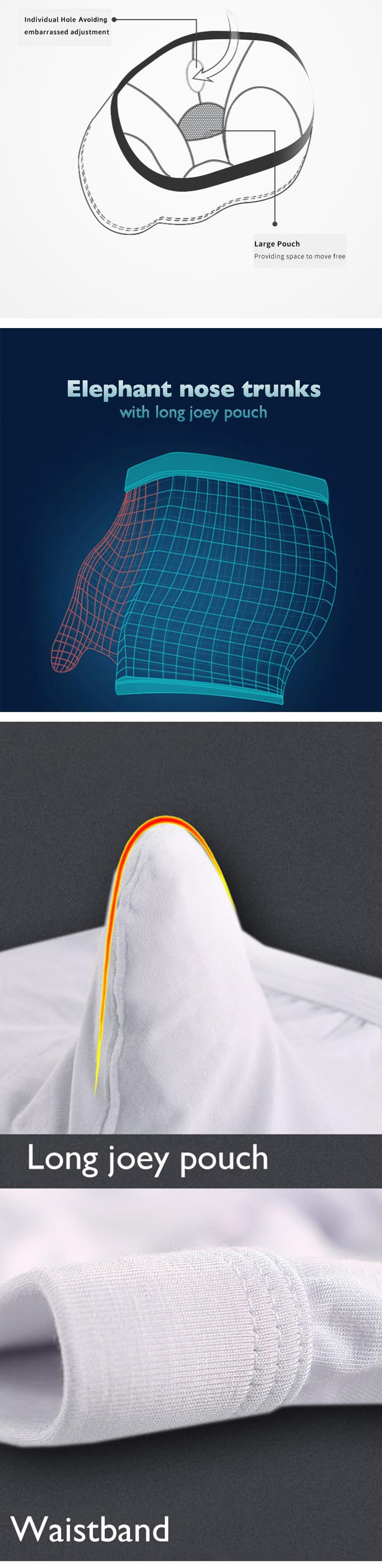 Collapsible Image