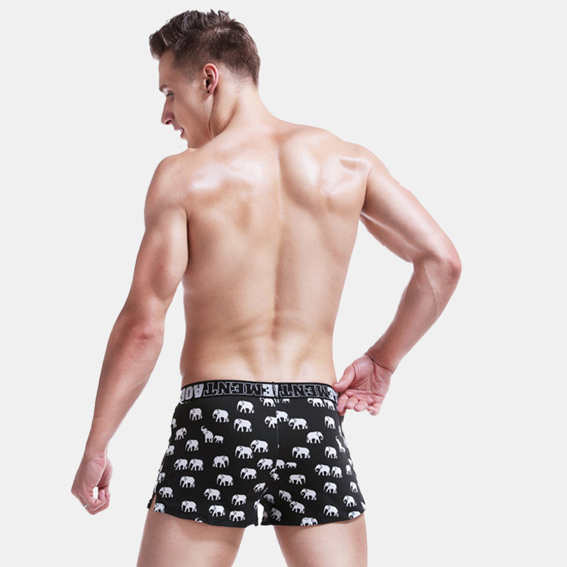 Elephant Patterned Underwear-3 Pack