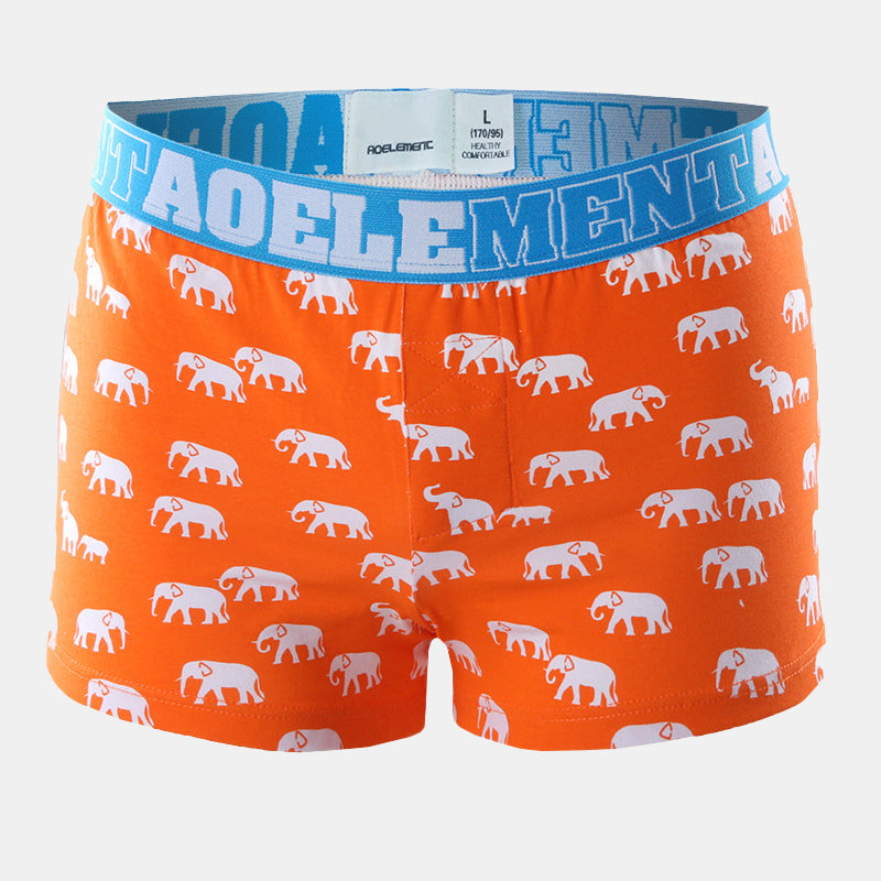 Elephant Patterned Underwear-3 Pack