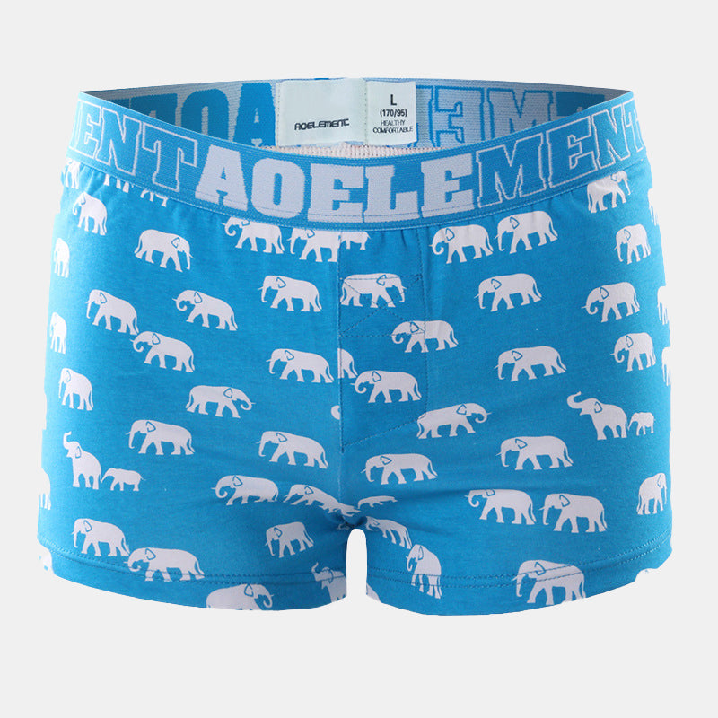 Elephant Patterned Underwear-3 Pack