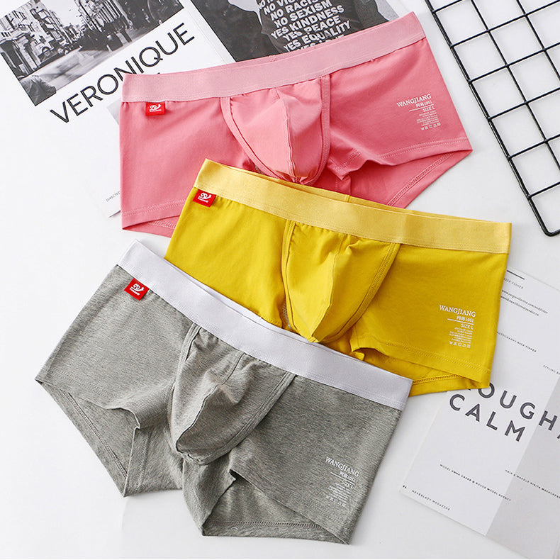 Men’s Cotton Support Separated Trunk – 3 Pack